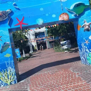 ¿Cuánto cuesta visitar el acuario de Santa Marta en 2024? Podrá ver más de 150 especies