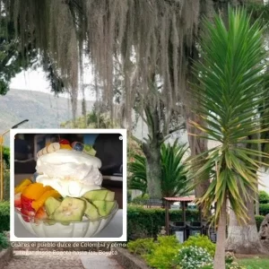 Cuál es el pueblo dulce de Colombia: queda a tres horas de Bogotá y le dicen ‘Nido Verde’