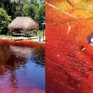 ¿Dónde quedan las aguas rojas de Colombia y cuánto cuesta ir? Paraíso con arena blanca