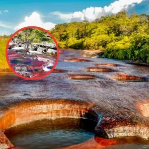 Cuánto cuesta la entrada a la quebrada Las Gachas, el ‘Caño Cristales’ de Santander
