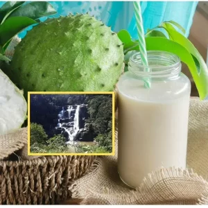 El pueblo de Cundinamarca con el mejor ‘guanabanazo’: cerca de Bogotá y hay linda cascada