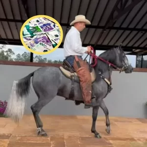 Esto gana un montador de caballos en Colombia: billete es a pura trocha y nada despreciable