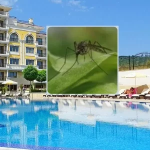 Pueblo muy visitado y cerca de Bogotá, en alerta por fiebre amarilla: famoso por piscinas