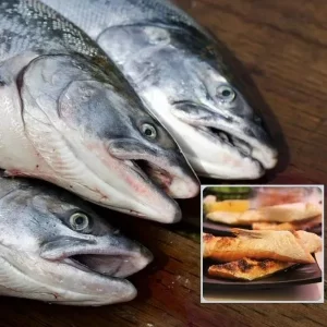 Atención con pescado más venenoso del mundo: es muy común en Colombia por Semana Santa