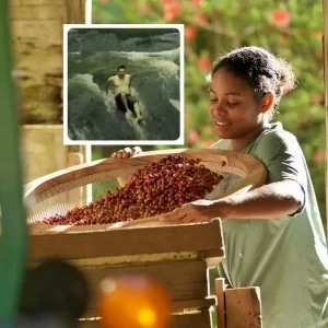 Capital cafetera de Cundinamarca, muy cerca de Bogotá, tiene rica fritanga y rodadero natural