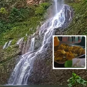 La muy famosa ‘Ciudad salud de Colombia’, a 2 horas de Bogotá, tiene gallina más rica del país