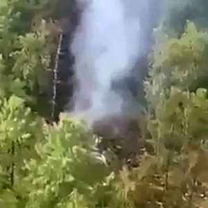 Un avión con cerca de 50 personas a bordo se estrelló: por las imágenes, se cree lo peor