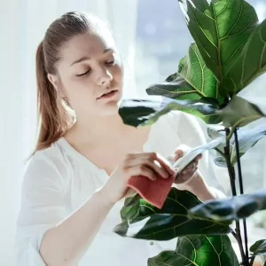 Qué significa que una persona hable con las plantas según la psicología: ¿es enfermedad mental?