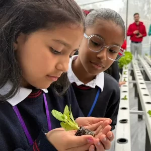 VerdeVida: programa que impacta en salud y bienestar de niñas en Bogotá