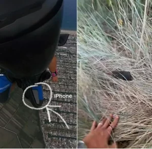 [Video] Insólita suerte de paracaidista: perdió su celular en el aire y lo recuperó intacto