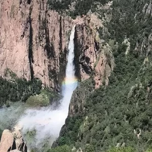 Cuál es la cascada permanente más alta de México: supera los 200 metros y maravilla
