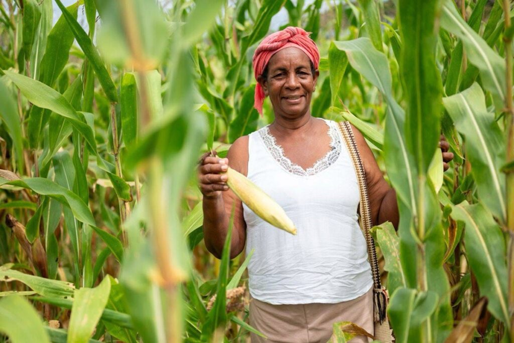 'Sembrando Vida', de la Agencia Nacional de Tierras I Imagen suministrada.