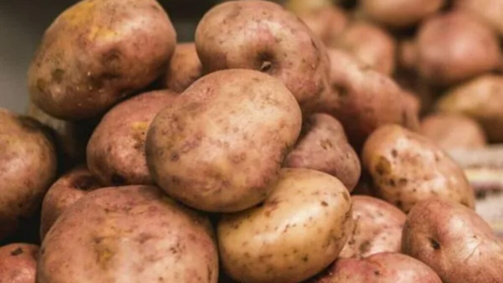 Papa / Página Ministerio de Agricultura