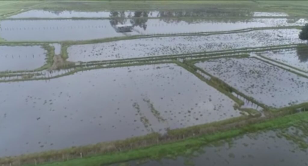 Situación en Floresta, Boyacá. / Captura de pantalla.