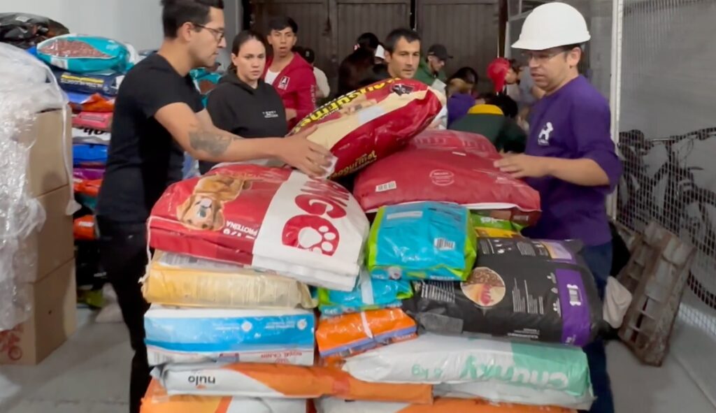Cómo donar comida y alimentos para perros y gatos al Catatumbo con Laika/Foto: Laika.