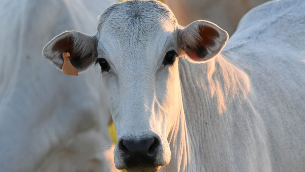 Imagen de referencia / Shutterstock