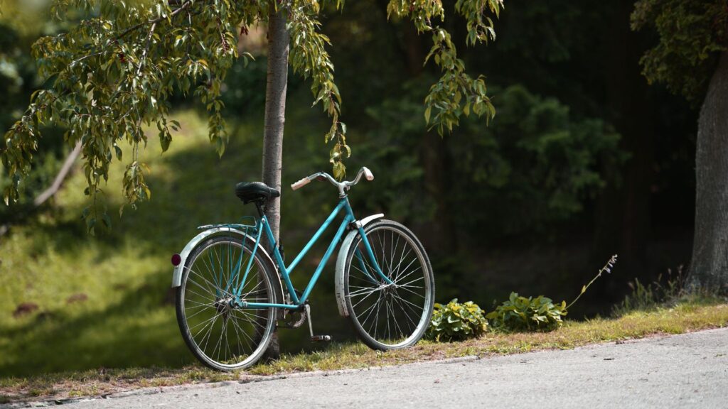 Imagen de referencia / Shutterstock