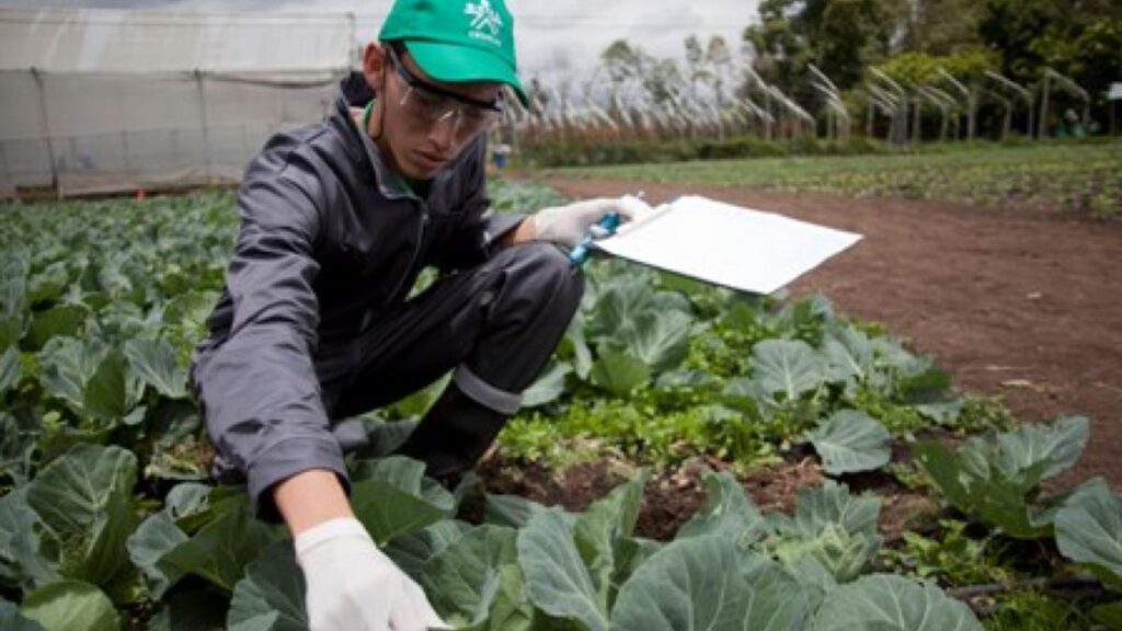 Imagen de referencia / Página Sena