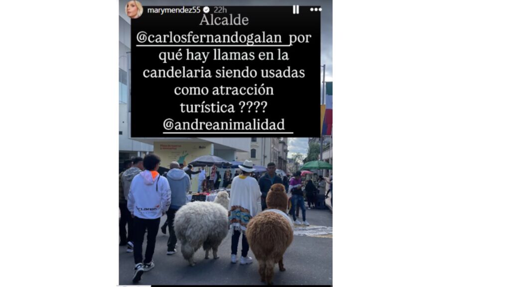 Mary Méndez le cantó la tabla a Galán por maltrato animal en el centro de Bogotá