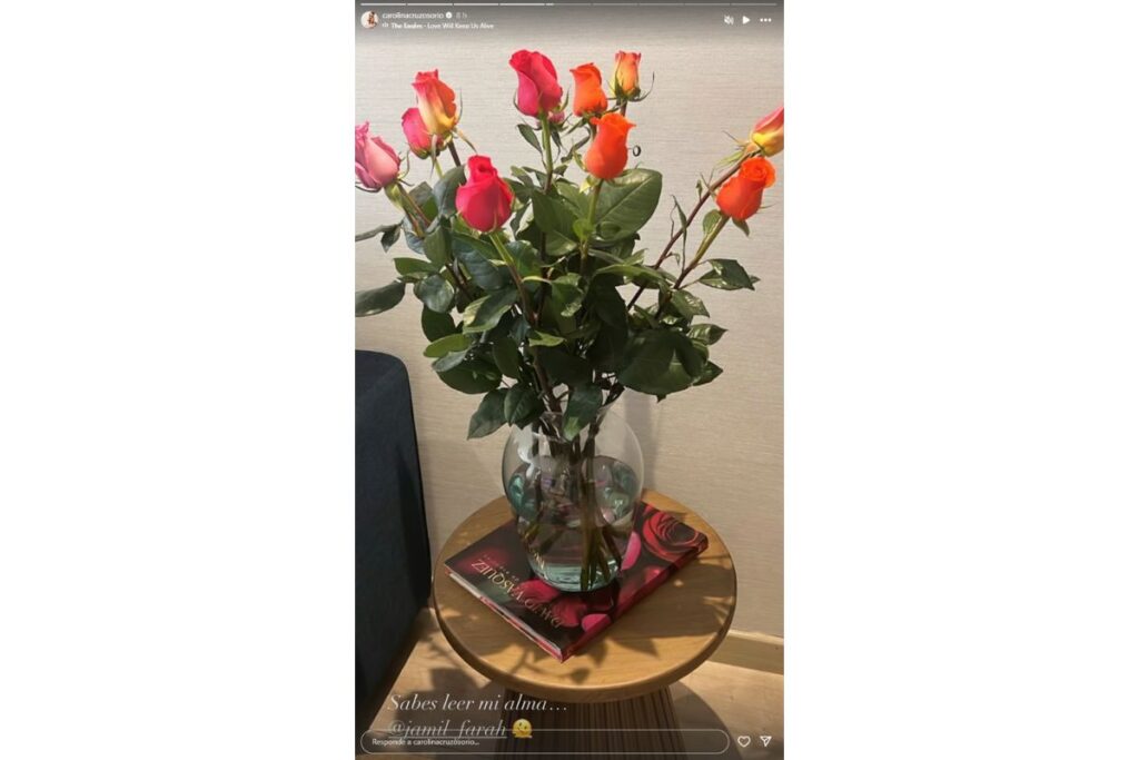 Historia de Instagram de Carolina Cruz / Instagram: @carolinacruzosorio